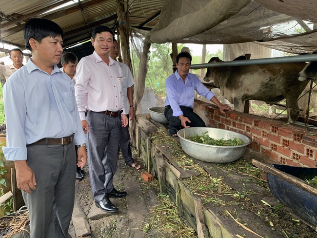 Liên kết chăn nuôi khép kín, bảo vệ môi trường - Ảnh 1.