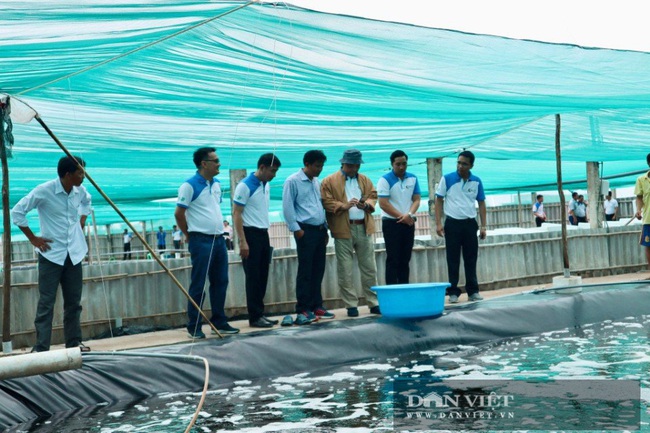 Bến Tre: Nuôi tôm công nghệ cao, mỗi lần bắt lên vài trăm tấn, một nông dân thu cả chục tỷ/năm - Ảnh 4.