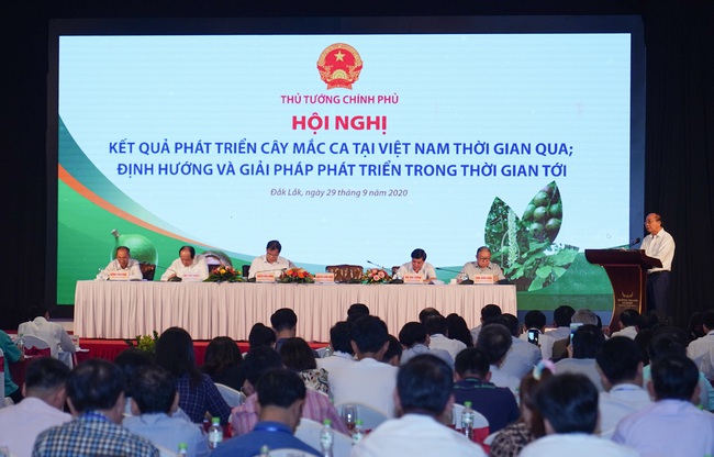 Xây dựng chiến lược phát triển mắc ca bền vững tại Việt Nam - Ảnh 1.