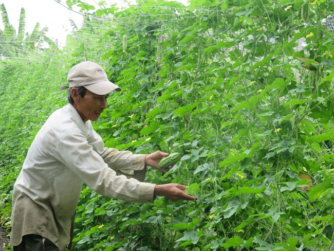 “Lên bờ xuống ruộng” làm sản phẩm nông nghiệp hữu cơ theo quy trình ngược - Ảnh 2.