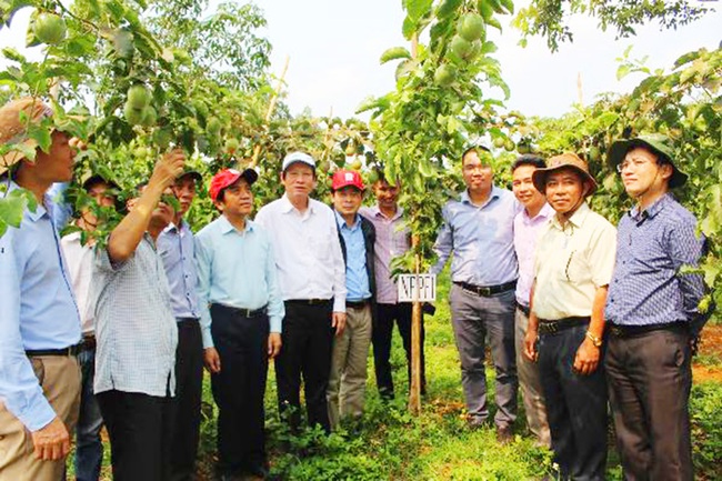 Chủ tịch Nafoods Nguyễn Mạnh Hùng: Sẽ đạt doanh thu hơn 2.300 tỷ - Ảnh 2.