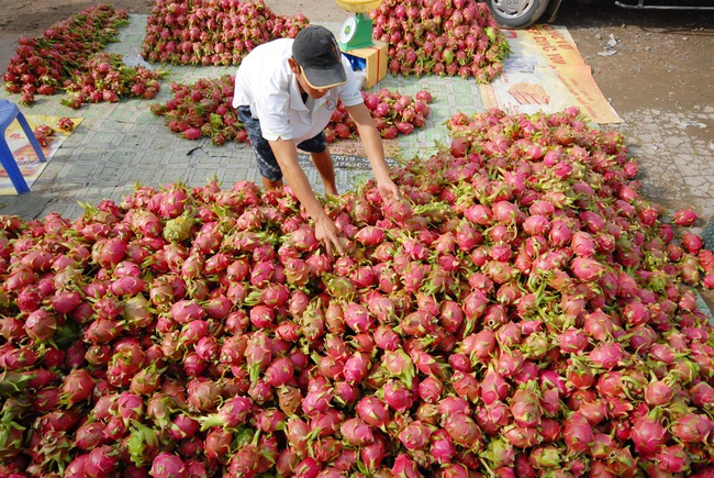 Bất chấp khuyến cáo, nông sản vẫn ùn ùn chở lên cửa khẩu - Ảnh 1.