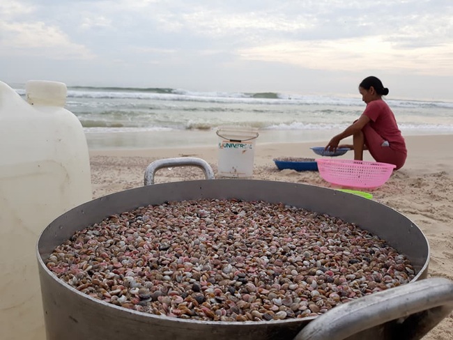 Kiếm tiền triệu mỗi ngày nhờ trúng mùa ốc ruốc - Ảnh 1.