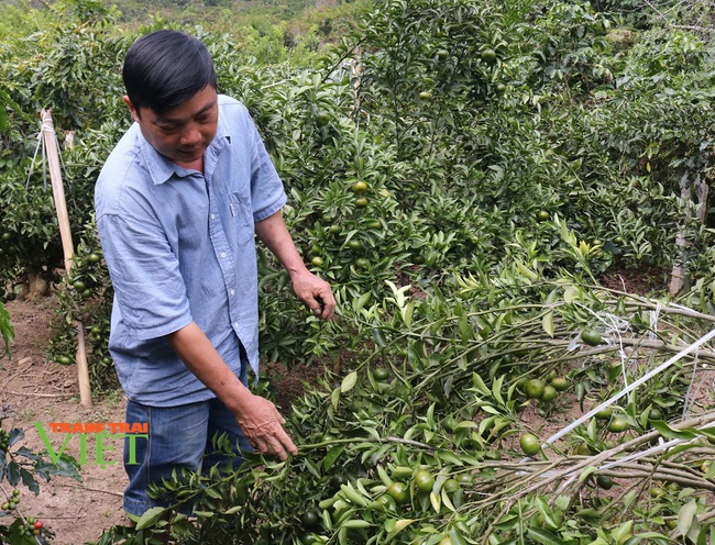 Ôm đống nghề, lão nông Sơn La “đút túi” 200 triệu/năm - Ảnh 4.