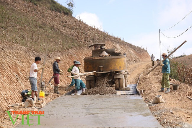 Hội Nông dân Thuận Châu tích cực xây dựng nông thôn mới - Ảnh 1. Hội Nông dân Thuận Châu tích cực xây dựng nông thôn mới - Ảnh 1.