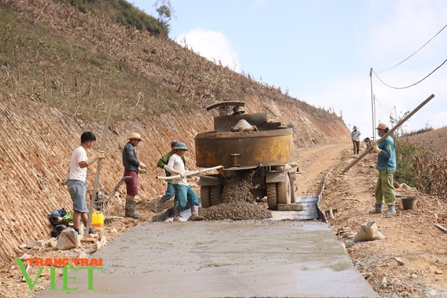 Hội Nông dân Thuận Châu tích cực xây dựng nông thôn mới - Ảnh 1.