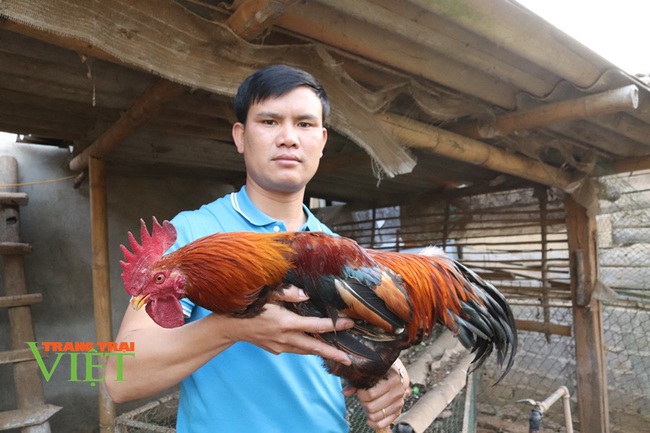 Hội Nông dân Thuận Châu tích cực xây dựng nông thôn mới - Ảnh 4. Hội Nông dân Thuận Châu tích cực xây dựng nông thôn mới - Ảnh 4.