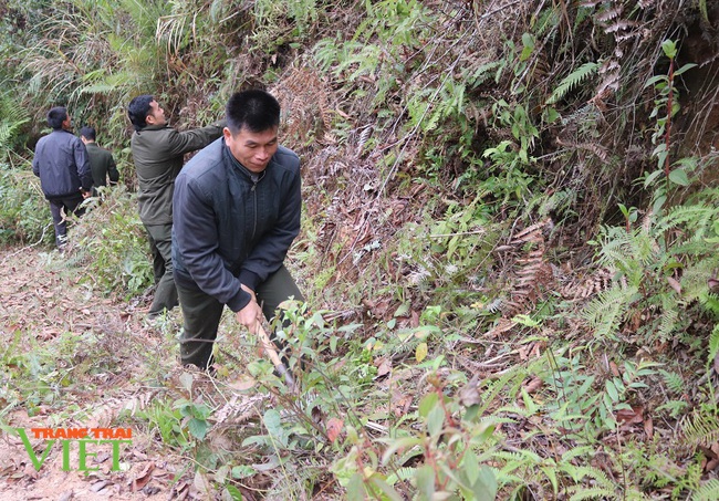 Thuận Châu: Chủ động phòng cháy, chữa cháy rừng mùa hanh khô - Ảnh 3.