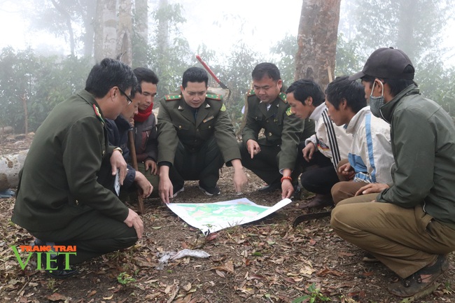 Ban QL rừng đặc dụng – phòng hộ Thuận Châu nỗ lực quản lý, bảo vệ rừng - Ảnh 2.