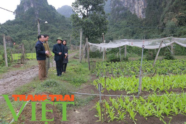  Hoà Bình: Phát triển nông nghiệp thông minh và sản xuất an toàn theo chuỗi - Ảnh 6.