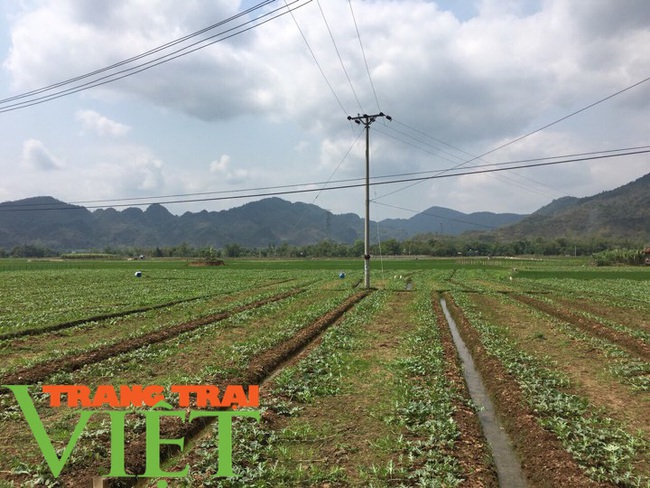  Hoà Bình: Phát triển nông nghiệp thông minh và sản xuất an toàn theo chuỗi - Ảnh 4.