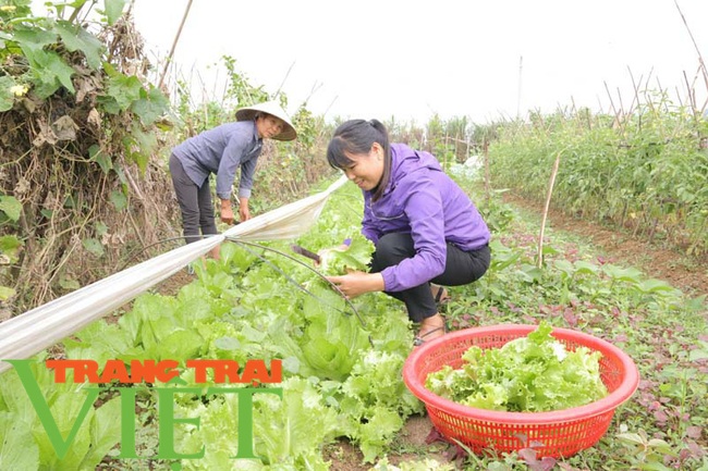  Hoà Bình: Phát triển nông nghiệp thông minh và sản xuất an toàn theo chuỗi - Ảnh 2.