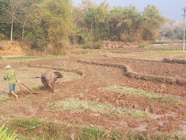 Sơn La: Chiềng Khoi phấn đấu cán đích NTM  - Ảnh 3.