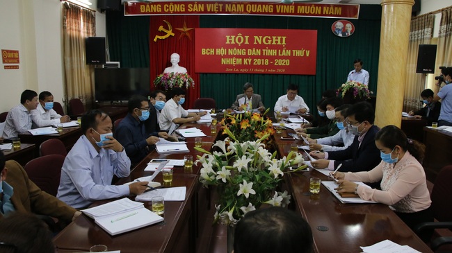 Hội Nông dân tỉnh Sơn La có tân phó chủ tịch mới - Ảnh 1.