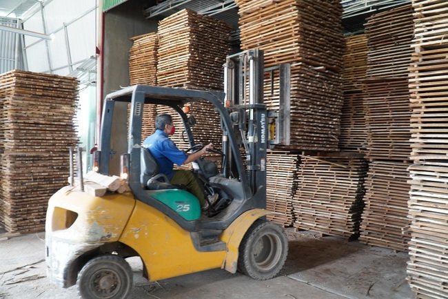 Chế biến gỗ lớn ở Nghệ An, kiếm lãi đều như vắt chanh 1 triệu/m3 - Ảnh 4.
