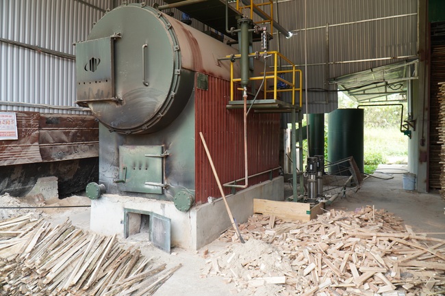 Chế biến gỗ lớn ở Nghệ An, kiếm lãi đều như vắt chanh 1 triệu/m3 - Ảnh 3.