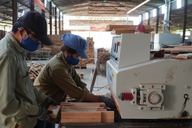 Chế biến gỗ lớn ở Nghệ An, kiếm lãi đều như vắt chanh 1 triệu/m3 - Ảnh 6.