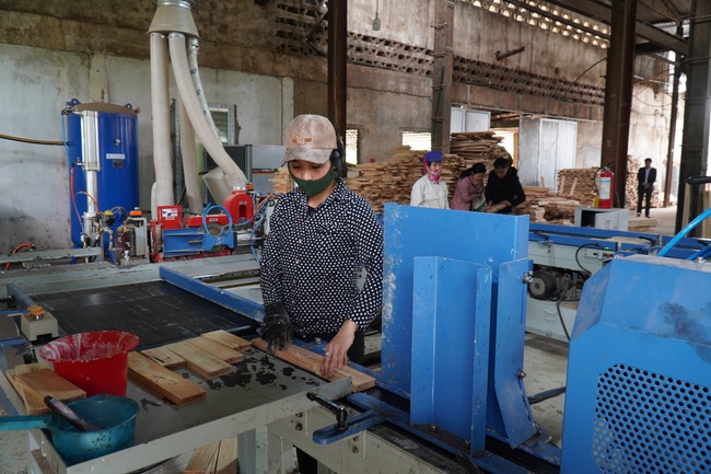 Chế biến gỗ lớn ở Nghệ An, kiếm lãi đều như vắt chanh 1 triệu/m3 - Ảnh 8.
