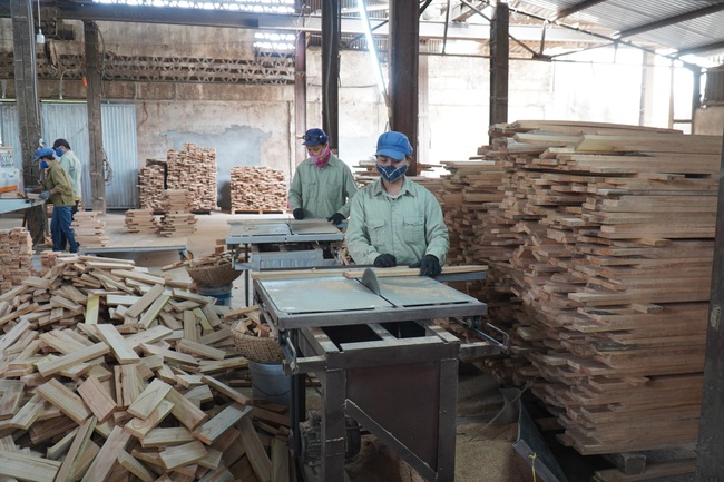 Chế biến gỗ lớn ở Nghệ An, kiếm lãi đều như vắt chanh 1 triệu/m3 - Ảnh 5.