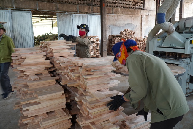 Chế biến gỗ lớn ở Nghệ An, kiếm lãi đều như vắt chanh 1 triệu/m3 - Ảnh 7.