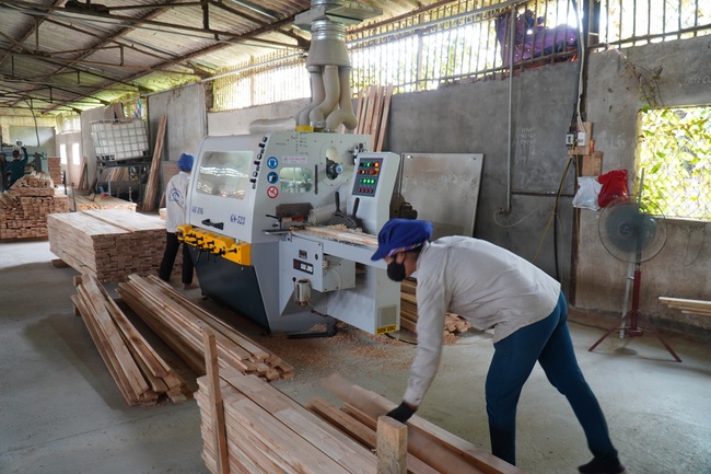 Chế biến gỗ lớn ở Nghệ An, kiếm lãi đều như vắt chanh 1 triệu/m3 - Ảnh 9.
