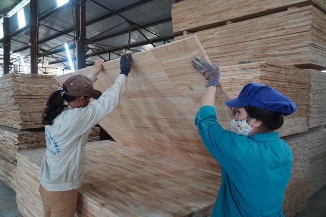Chế biến gỗ lớn ở Nghệ An, kiếm lãi đều như vắt chanh 1 triệu/m3 - Ảnh 12.