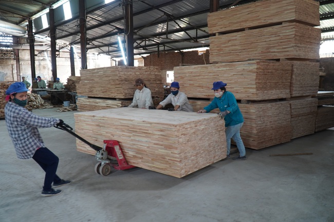 Chế biến gỗ lớn ở Nghệ An, kiếm lãi đều như vắt chanh 1 triệu/m3 - Ảnh 11.