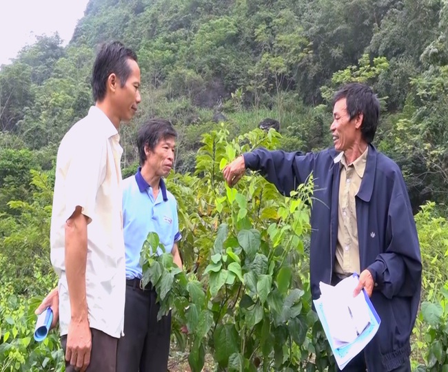 Thứ rau nghe tên đã thấy ngại nhưng dân tình vẫn lùng mua để thưởng thức - Ảnh 4. Thứ rau nghe tên đã thấy ngại nhưng dân tình vẫn lùng mua để thưởng thức - Ảnh 4.