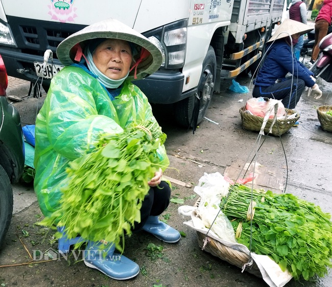 Thứ rau nghe tên đã thấy ngại nhưng dân tình vẫn lùng mua để thưởng thức  - Ảnh 5.