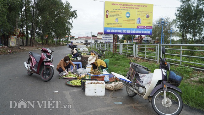 Người dân vùng dịch Covid-19 Sơn Lôi tất bật sau cách ly - Ảnh 4.