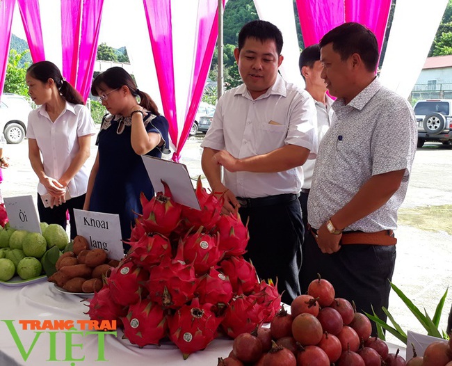 Nông thôn Sơn La: Ngỡ ngàng trước diện mạo mới   ở Thuận Châu - Ảnh 2.