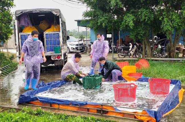 Hợp tác xã tìm cách xoay chuyển, thích ứng thời covid-19 - Ảnh 2.