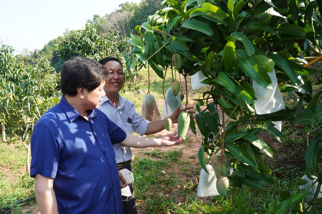 Mạnh dạn lập mới, xóa cũ, các hợp tác xã “chuyển mình” - Ảnh 2.