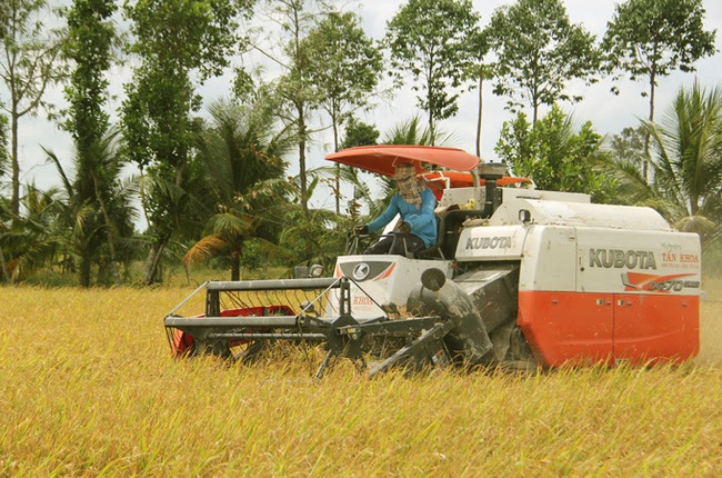 Vĩnh Long xây dựng bảo tàng nông nghiệp 400 tỷ đồng  - Ảnh 1.