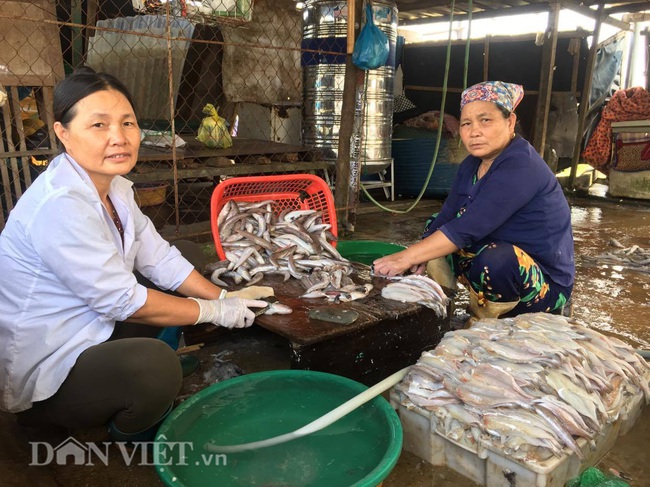 Những “bóng hồng” gánh cá, tôm bên cửa biển - Ảnh 9.