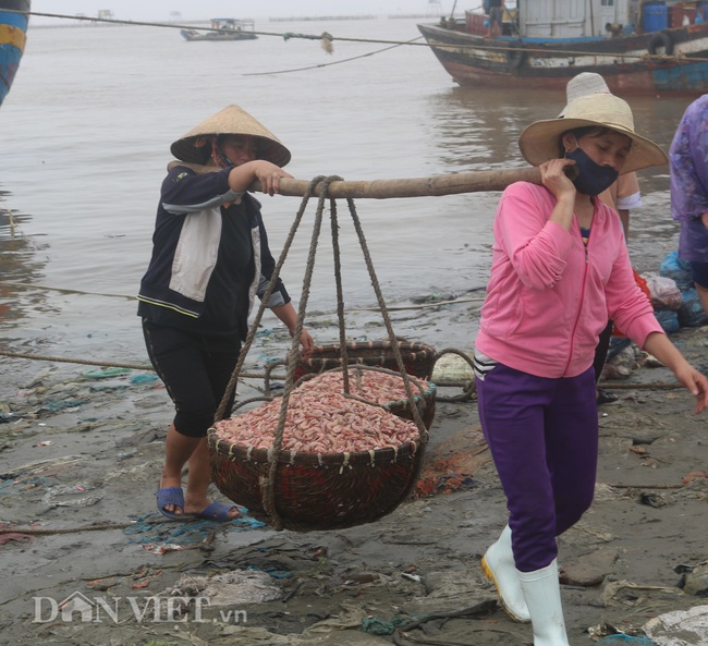 Những “bóng hồng” gánh cá, tôm bên cửa biển - Ảnh 1.