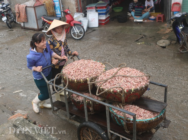 Những “bóng hồng” gánh cá, tôm bên cửa biển - Ảnh 7.