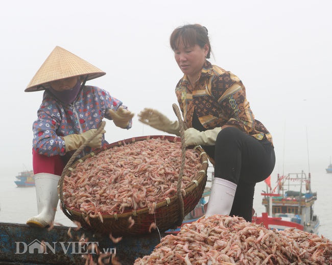 Những “bóng hồng” gánh cá, tôm bên cửa biển - Ảnh 4.