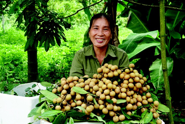 Trang trại cổ tích nơi xứ núi Ba Vì - Ảnh 3.