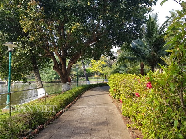 Thăm nhà sàn Bác Hồ nằm trong khuôn viên xanh trong ở Đà Nẵng - Ảnh 5.
