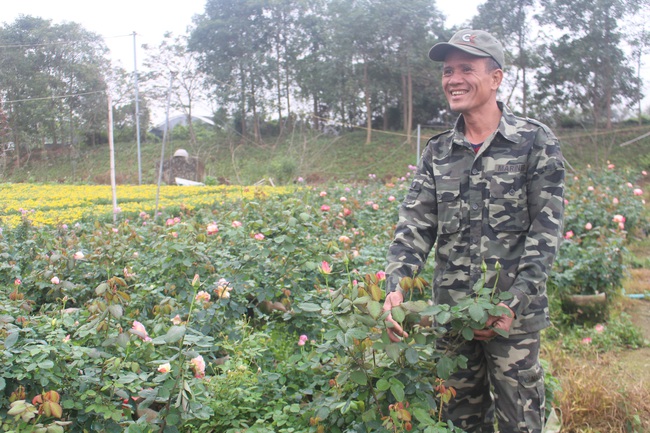 Giữ thương hiệu cho làng hoa Xuân Quan - Ảnh 1.