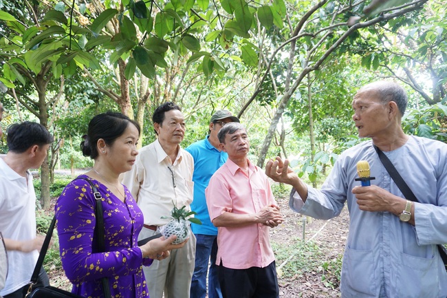 Cần Thơ: Kêu gọi hơn 90 doanh nghiệp du lịch hỗ trợ nhau vượt qua Covid-19 - Ảnh 1.