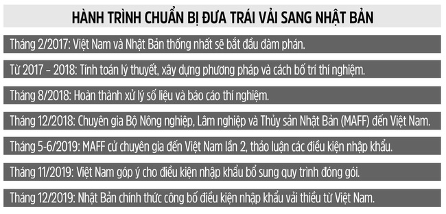 Hành trình nghìn tỷ của vải thiều Lục Ngạn: Chinh phục Nhật Bản - Ảnh 2.