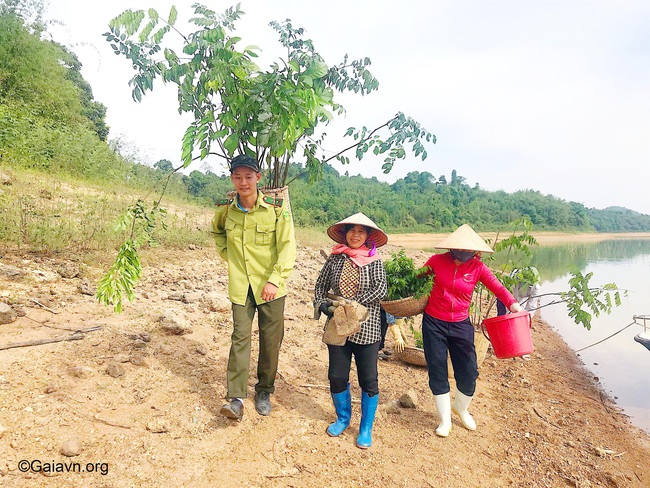 &quot;Đăng ảnh góp rừng&quot; để phục hồi rừng đầu nguồn nghèo kiệt - Ảnh 2.