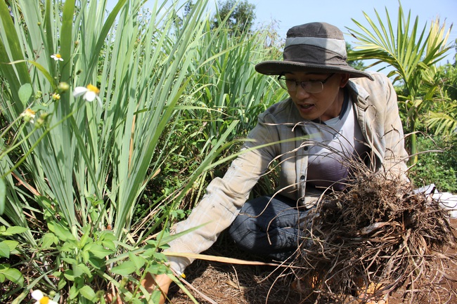 Làm thuận tự nhiên, khu vườn ở Đắk Lắk sống khỏe giữa mùa khô hạn - Ảnh 1.