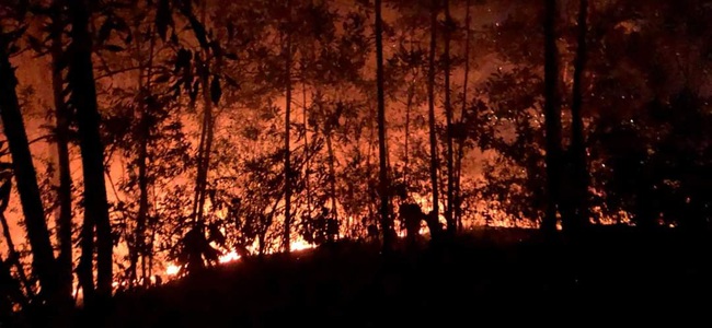Đà Nẵng: Hơn 10 giờ khống chế vụ cháy trên núi tại Đà Nẵng - Ảnh 1.