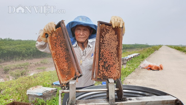 Ninh Bình: U 80 đưa quân đi tìm vị ngọt của biển, kiếm tiền triệu mỗi ngày - Ảnh 1.