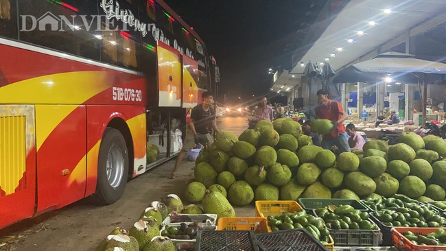 Nông dân khổ sở vì đầu hè trái cây rớt giá - Ảnh 4.