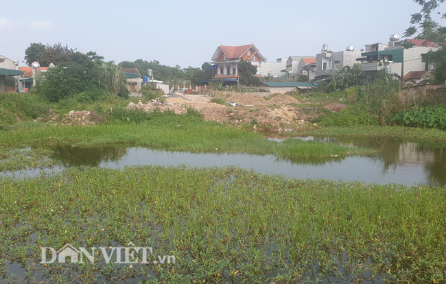 Huyện làm dự án “chui”, xã hứa “hão” khiến nông dân mất đất - Ảnh 2.