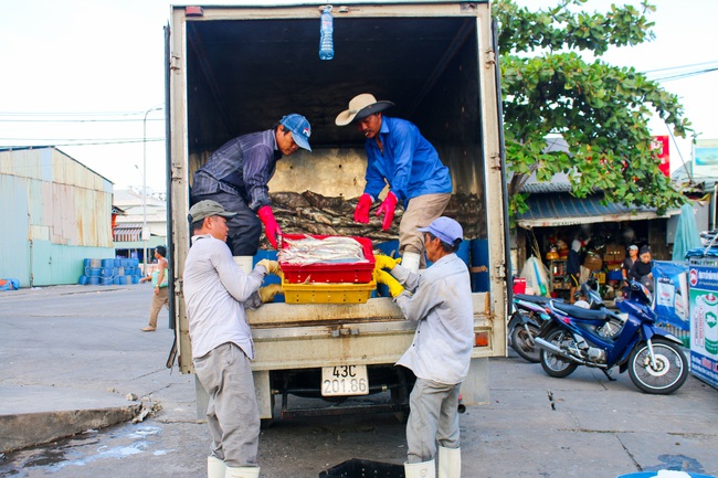 Hải sản rớt giá, ngư dân than khổ - Ảnh 3.